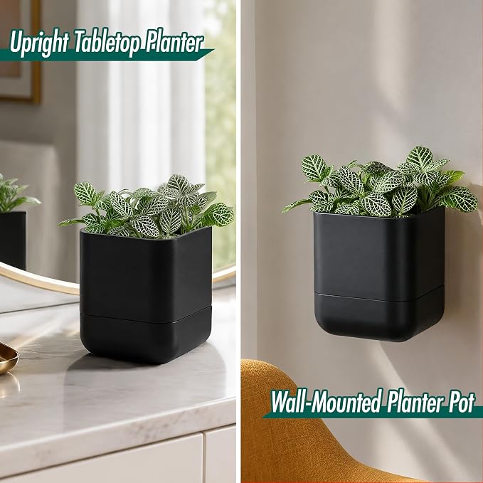 Phoenix Vine 4.5 Inch Wall Mounted Self-Watering Planter Pot for Indoor Houseplants and Herbs | Hanging Planter for Window Sills, Bathroom Walls, Home & Office Décor, Black, Set of 2, 01-B-E-2