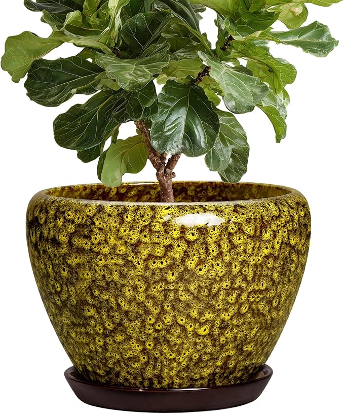 10 Inch Ceramic Plant Pot, Yellow Leopard | Indoor & Outdoor, Drainage Hole & Saucer, Round Planter, Modern Design, Garden Decor