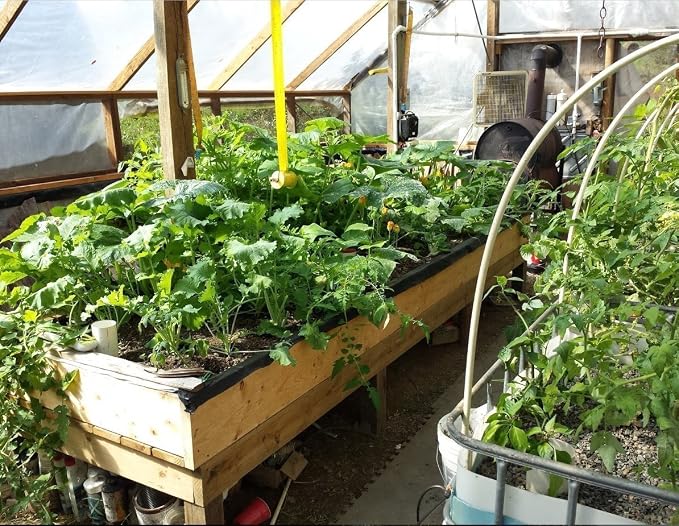 Aquaponics Auto Bell Siphon Kit 6" Media or Smaller Grow Bed Mini Garden! Great for Half 5Gal Dutch Buckets, Over 20,000 Siphons Sold