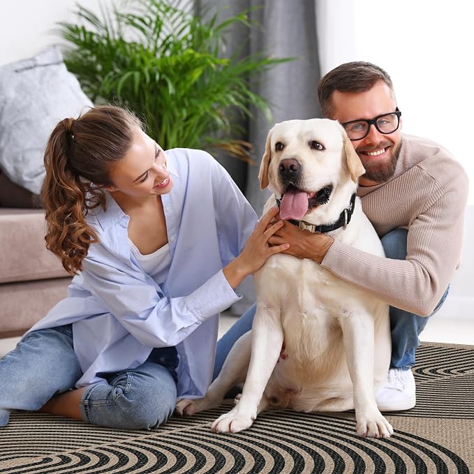 Lahome Modern Rainbow Easy Jute 6x9 Rug, Large Living Room Carpet Washable Outdoor Patio Dining Room Rug, Non Slip Indoor Outdoor Carpet for Backyard Deck Office Decor