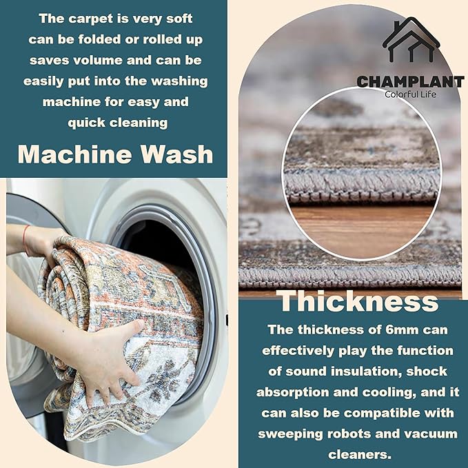 CHAMPLANT Area Rug 5'x7' Light Cyan and Light red Washable Rug Vintage Traditional Floor Cover Thin Retro Kitchen Indoor Distressed Non Slip Carpet for Living Room Bedroom Dining Room