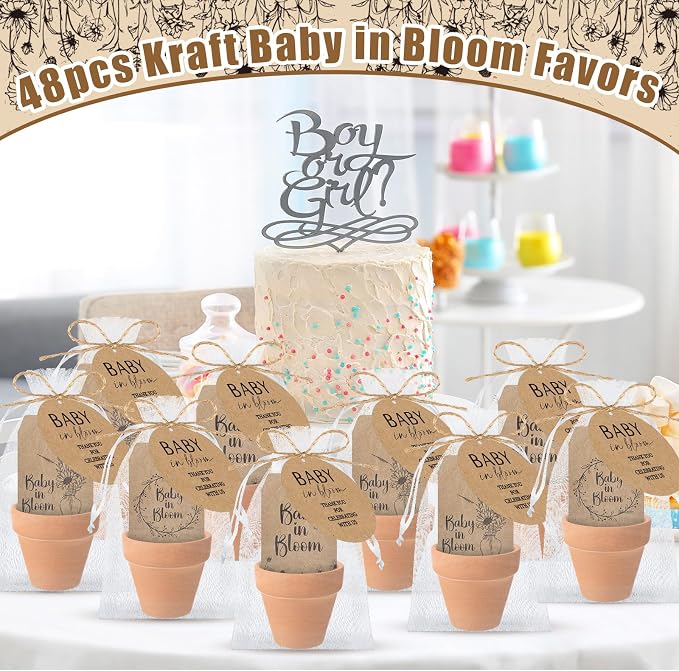 Reallnaive Baby Shower Party Favors Baby in Bloom Envelopes Seed Packets Include 48 Mini Terracotta Pots Seed Packets 48 Self Adhesive Envelopes Thank You Tags for Party(48 Pcs, Ceramic)
