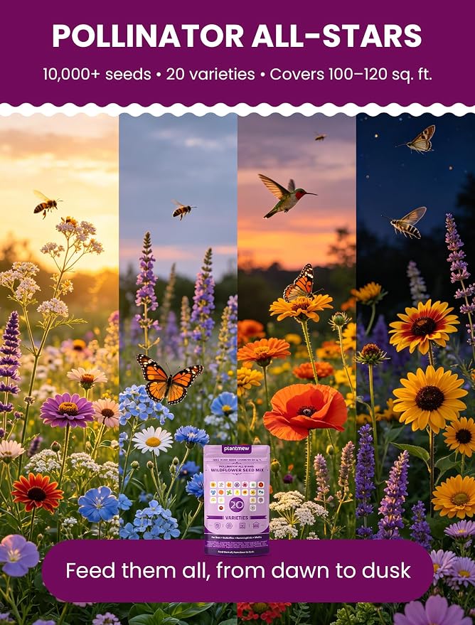 Wildflower Seeds Mix – Pollinator All-Stars, 20 Heirloom Varieties, 10,000+ Seeds (4oz) Covers 100-120 sq.ft. – High Germination for Bees, Butterflies, Hummingbirds & Moths Outdoor Garden