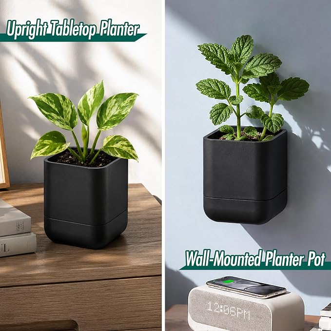 Phoenix Vine 3.5 Inch Wall Mounted Self-Watering Planter Pot for Indoor Houseplants and Herbs | Hanging Planter for Window Sills, Bathroom Walls, Home & Office Décor, Black, Set of 3, 01-A-E-3