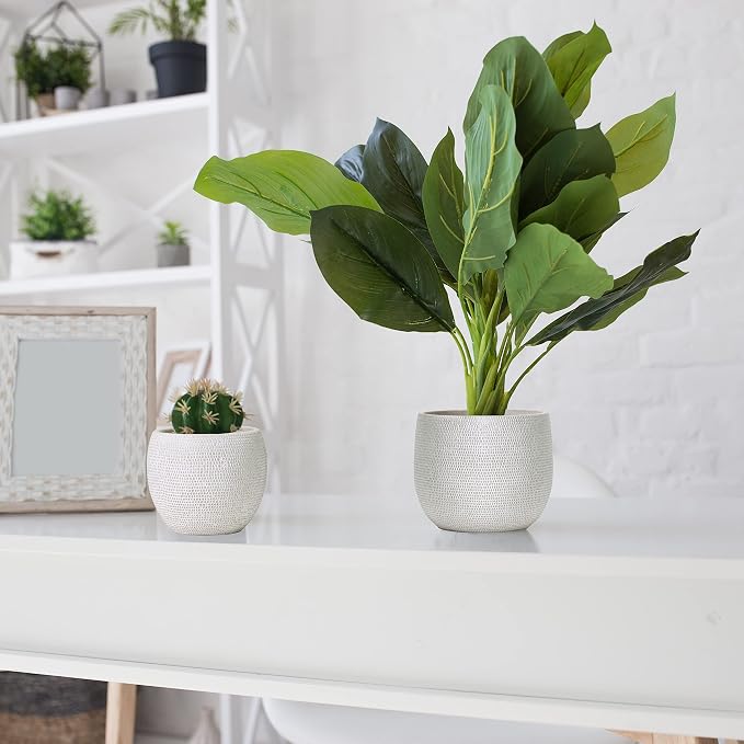 Olly & Rose Barcelona Ceramic Plant Pot Set 2 - White Flower Pots - Indoor & Outdoor Planters (White)