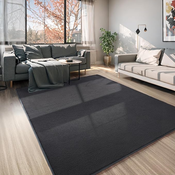 AROGAN 6x9 Area Rugs for Living Room Non Slip Dorm Bedroom Rug, Dark Grey | Modern Area Rugs with Soft Memory Foam, Minimalist Washable Indoor Floor Carpet for Dining Room Office Kids Playroom Decor