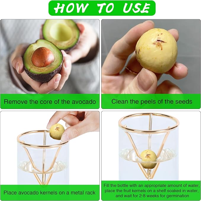 Bylion 2 Pack Avocado Tree Growing Kits - Avocado Growing Vase - Avocado Seed Starter Vase Glass Plant Pot Easy Seed Sprout Starter Gift for Women Gardening Lovers Home Office Table Decoration (Gold)