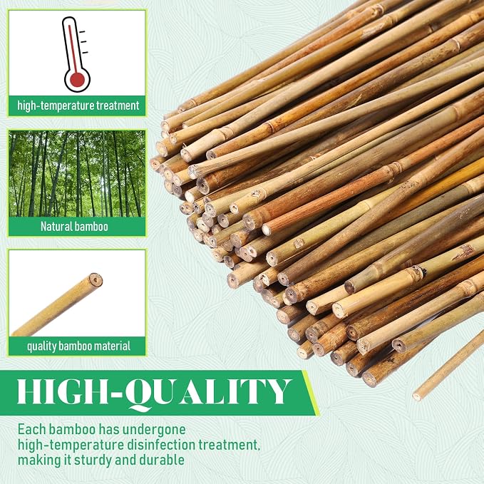 Suclain 100 Pcs Bamboo Plant Stakes Natural Garden Support Sticks for Climbing Plants Sturdy Bamboo Garden Stakes for Tomato, Beans, Flowers and Potted Plants, Vegetables, Indoor & Outdoor (2 ft)