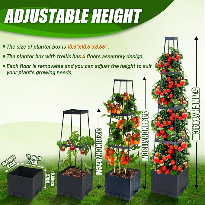 2 Packs Raised Garden Bed Tomato Planter Box with Trellis,56.8" Self-Watering Tomato Cage with Trapezoidal Trellis for Climbing Plants Flowers Vegetables Vine in Patio Garden Indoor Outdoor