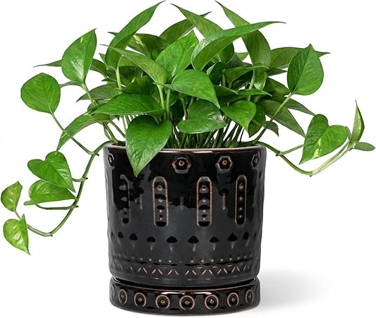 Eightpot 6 Inch Plant Pot, Ceramic Pots for Plants with Drainage Hole and Saucer, Round Planter for Indoor Outdoor Plants, Modern Decorative Flower Pots, Bedroom Decor, Gifts for Plant Lovers, Black