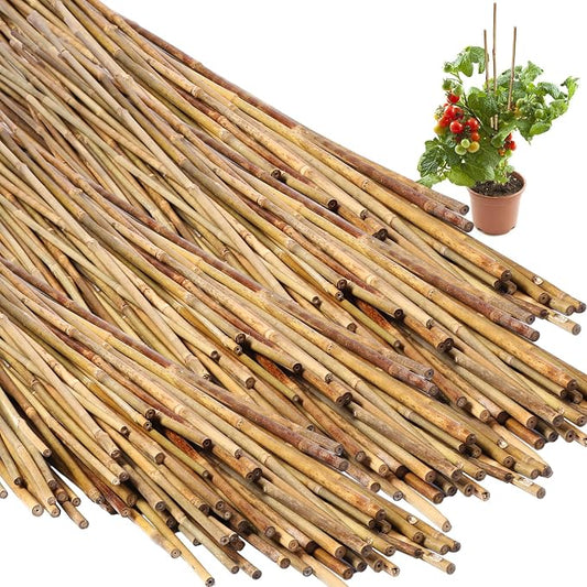 Suclain 100 Pcs Bamboo Plant Stakes Natural Garden Support Sticks for Climbing Plants Sturdy Bamboo Garden Stakes for Tomato, Beans, Flowers and Potted Plants, Vegetables, Indoor & Outdoor (3 ft)