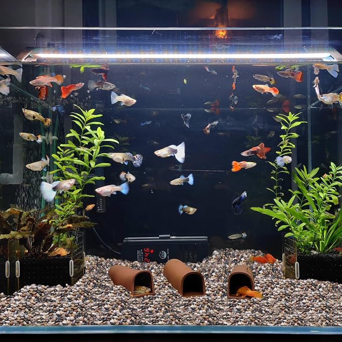 Calofulston 15lb Pebbles, 3/8 Inch Small Pebbles for Indoor Plants, Aquariums, Bamboo, Succulent, Vase, Outdoor Landscaping, Decorative Polished Plant Rocks for Pots Indoor, Mixed Color