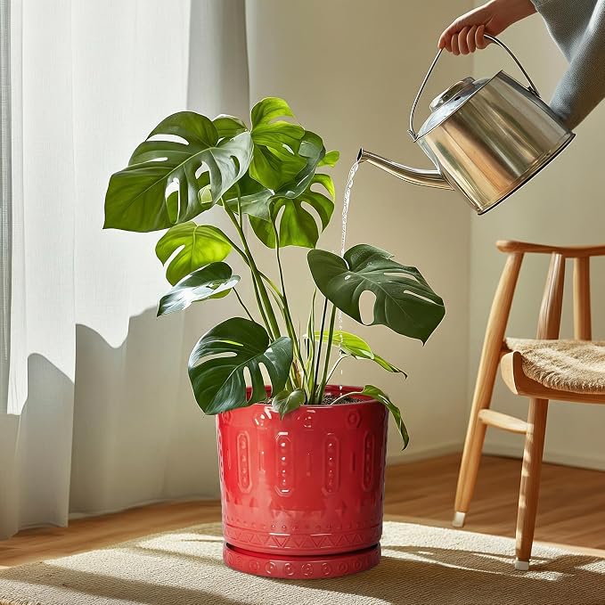 Eightpot 11.4 Inch Plant Saucers for Indoors, Plant Plates to Catch Water for Outdoor, Round Plants Drip Tray, Modern Planter Saucer, Decorative Plants Dishes to Catch Water, Flower Pot Tray, Red