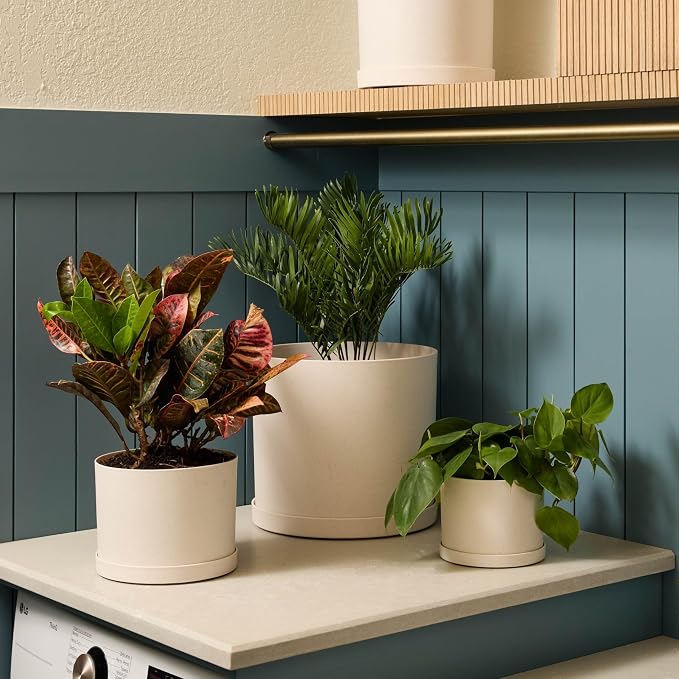 Bloem Mathers 12" Plastic Planter - Modern Indoor Pot with Drainage Holes and Saucer Tray, Vanilla Bean