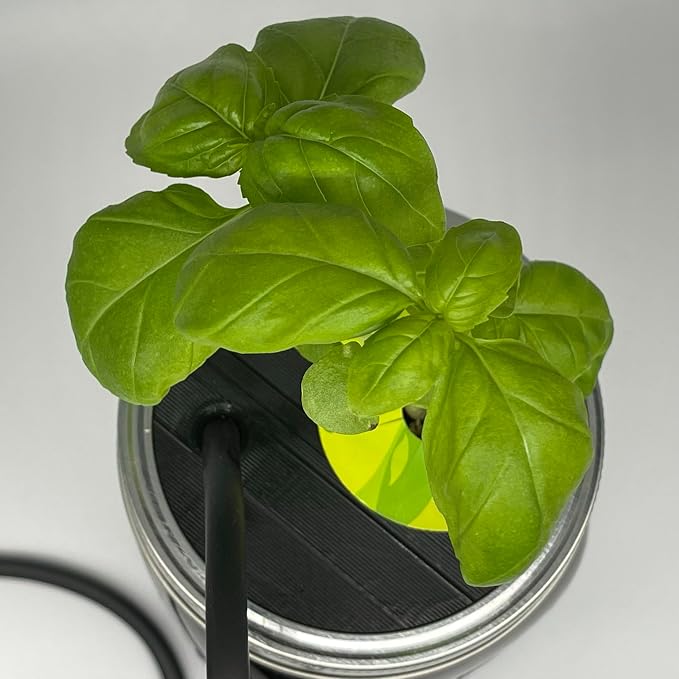 ZXYPRO® Improved Airline Kratky Lid Kit, Fits Wide-Mouth Canning Jar, Pumps Air into up to 4 Wide-Mouth Kratky Jars, Robust Pump And All Tubing And Connectors Included