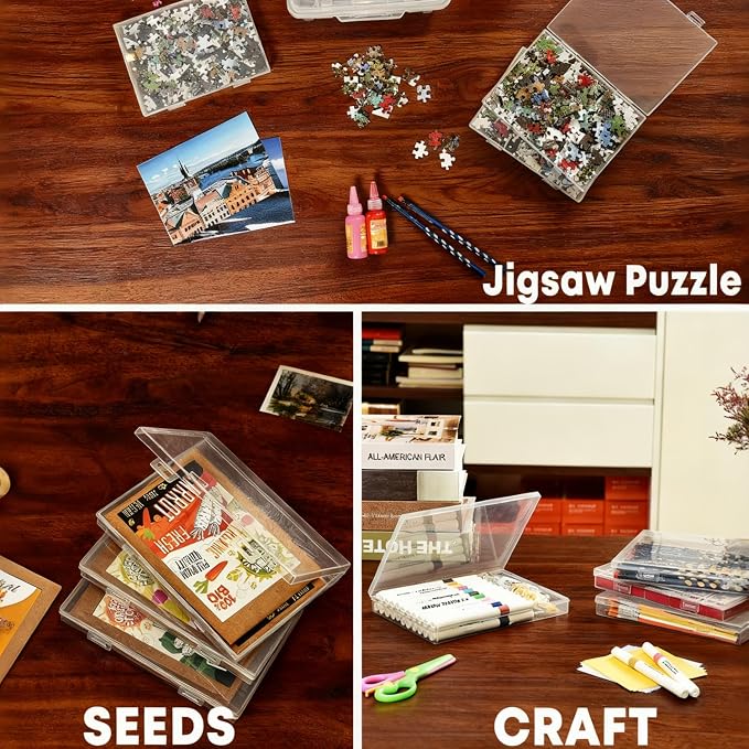 NINU Photo Storage Box 5 x 7 In Photo Case, 10 Inner Large Photo Keeper, Clear Photo Storage Container, Seed Craft Cards Pictures Organizer, Plastic Office Organizer with 1 Label Sticker