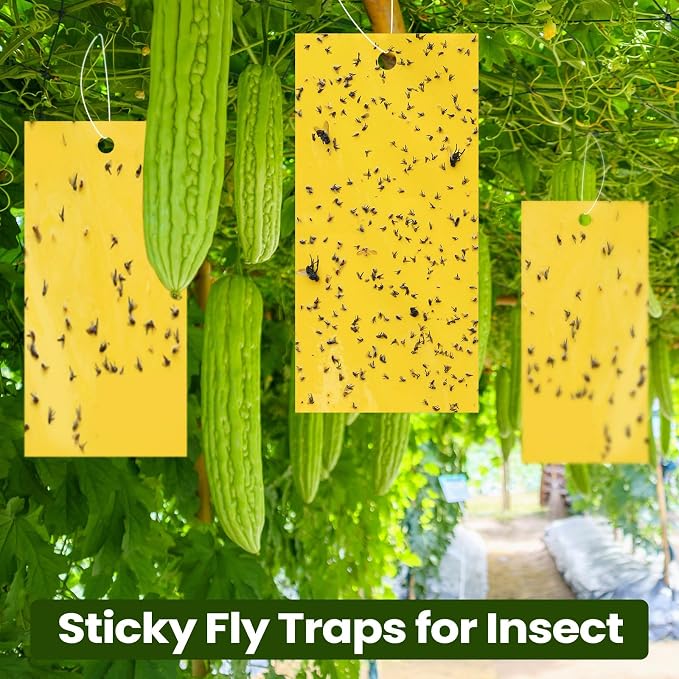 Qualirey 300 Pcs 7.87 x 3.9 Inch Yellow Sticky Traps for Gnats Double Sided Sticky Trap for Plant Whiteflies, Aphids, and Black Flies with Twist Ties, Indoor and Outdoor