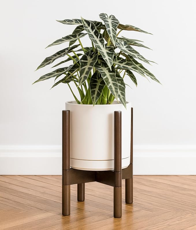 D'vine Dev Ceramic Planter with Walnut Color Stand - 8 Inch Modern Round Flower Pot with Wood Planter Holder, Oatmeal, 55-B-Y-8