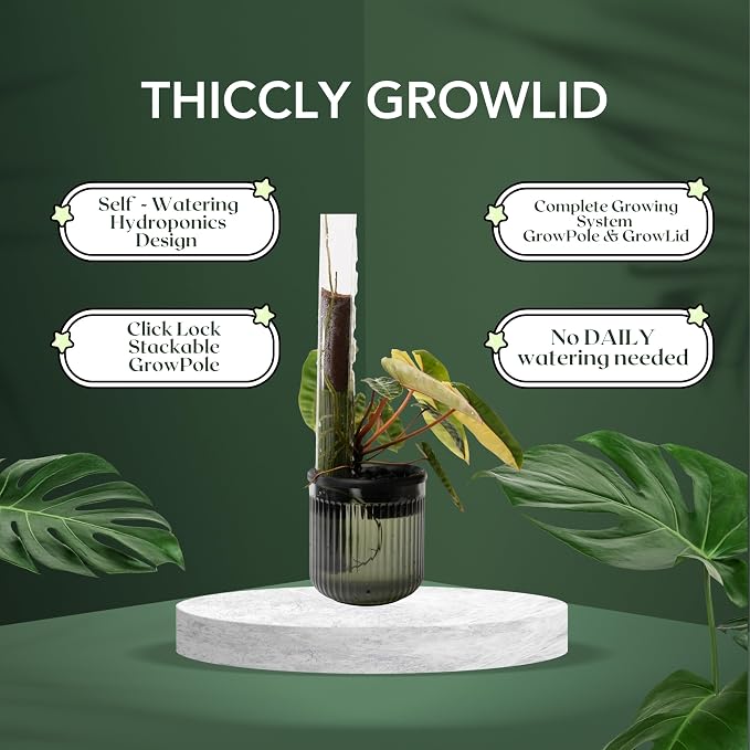 THICCLY Medium GrowLid 5 Pcs (Royal Blue) - Self Watering Clear D-Shaped Plastic Moss Pole Hydroponics Growing System Kratky Hydroponic Kit Moss Pole Monstera Plant Support Philodendron and Anthuriums