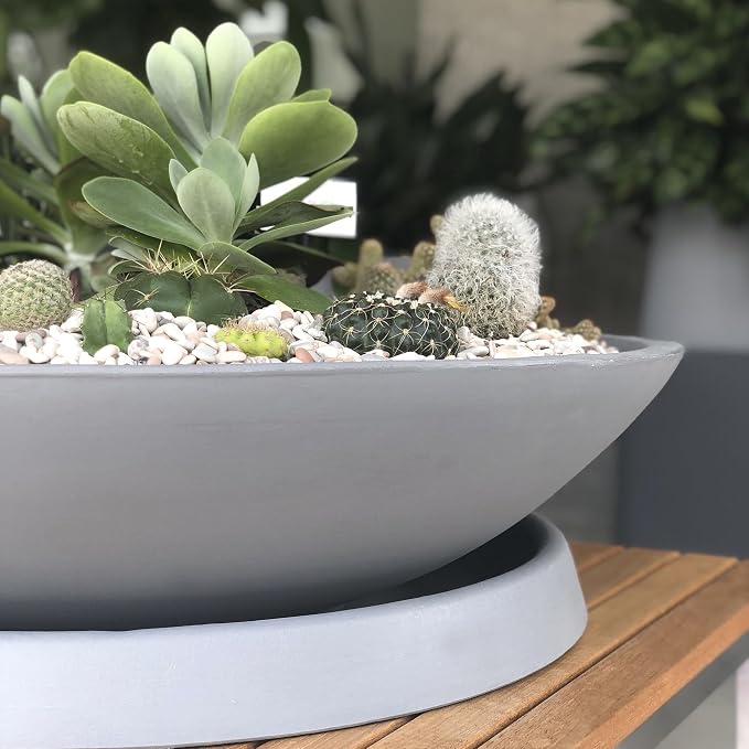 Crescent Garden Universal Round Planter Saucer, Durable Drainage Dish for Plant Pots, Heavy-Duty Plant Dishes Saucer, Indoor & Outdoor Plant Trays - Parchment (15 inch Inner, 20 inch Outer Diameter)