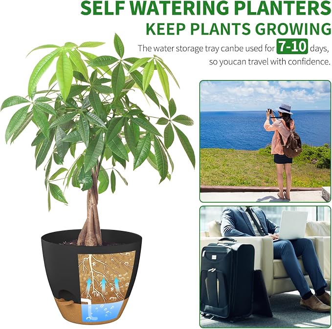 12 Inch Self Watering Pot for Indoor Outdoor Plants, Large Plastic Planter with Visual Water Window, Drainage Holes & Watering Lip, Modern Decorative Flower Pot (Black)