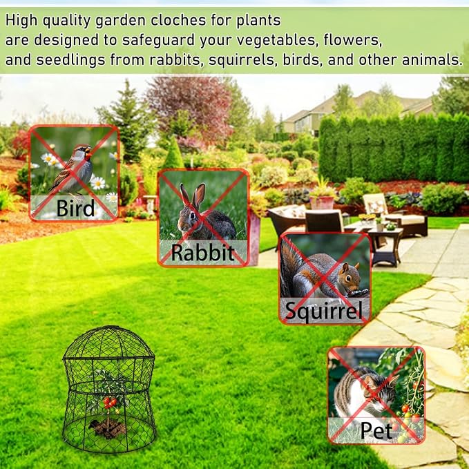 Garden Cloches for Plants 6 Pack Metal Plant Protectors from Animals Chicken Wire Cloche Updated Plant Cages for Outdoor Plants Vegetables Seedlings 13" D x 14" H