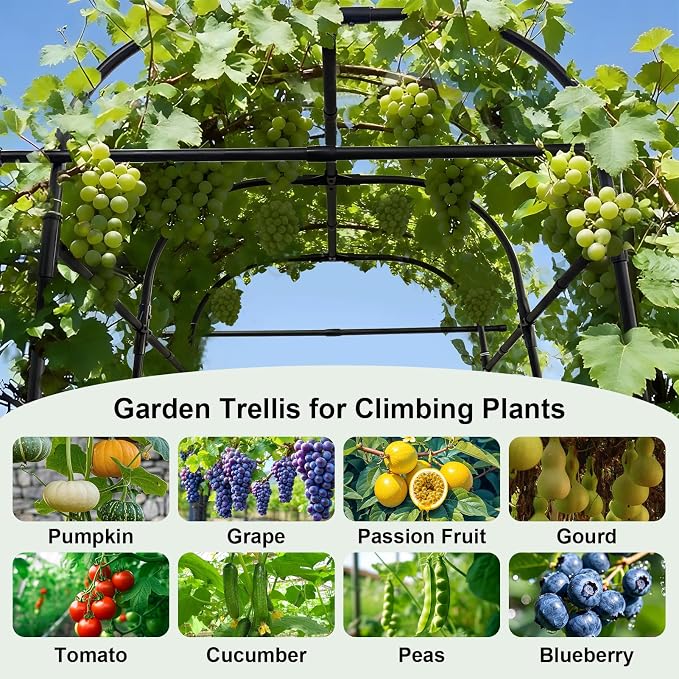 GOJAWAY 7*5.4* 5FT Arch Metal Garden Trellis,Outdoor Climbing Support Frame | Large Tall Cucumber Tunnel Trellis for Pathway Yard,Suitable for Supporting Grape Rose Beans Raised Bed PP Coasted Aluminum