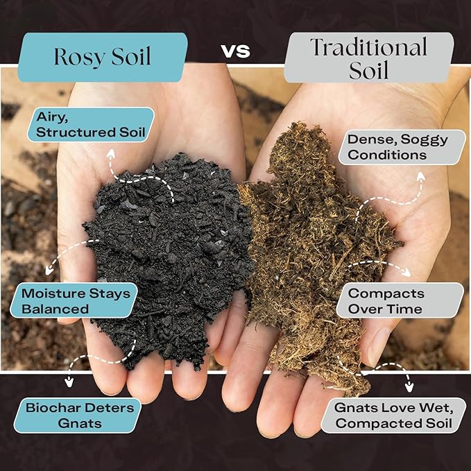Rosy Soil Houseplant Potting Soil, 8 Quarts, Pack of 2 | Organic Indoor Potting Mix with Biochar and Worm Castings, For Monstera, Pothos, Tropical Indoor Plants, Peat Free