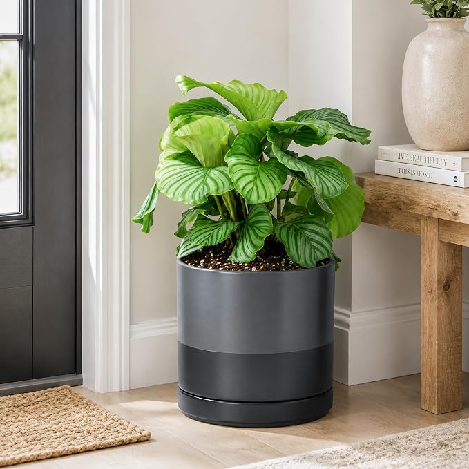 D'vine Dev 10 Inch Ceramic Planter Pot with Drainage Hole and Saucer, Indoor Cylinder Round Planter Pot, Slate, 94-O-E-5