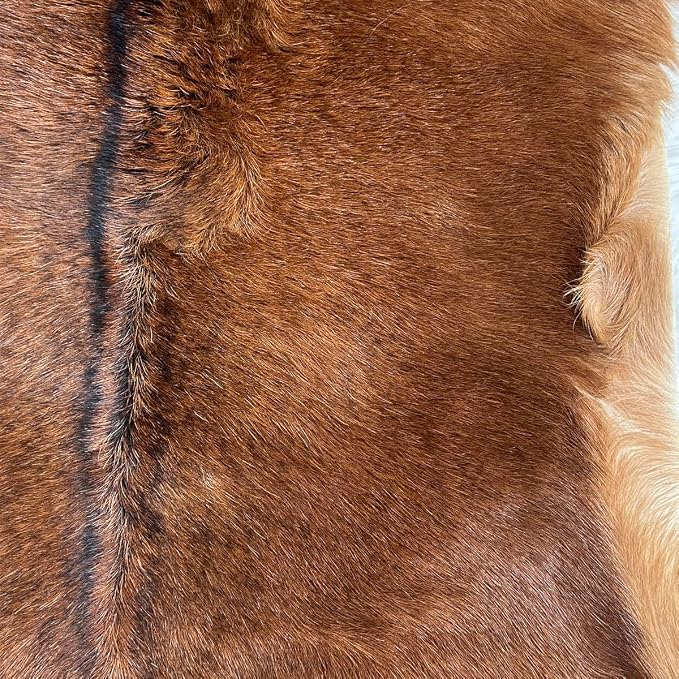 Red Deer Hide Rug Deerskin, 2.3x1.8 ft,Hunting Rug,Fawn Mat,Antelope Carpet | Deer Taxidermy Carpet, Fireplace Deerskin Decor, Fawn Print Rug,Reindeer Hide Area Rug, Animals Mat, Taxidermy Hunting Rug