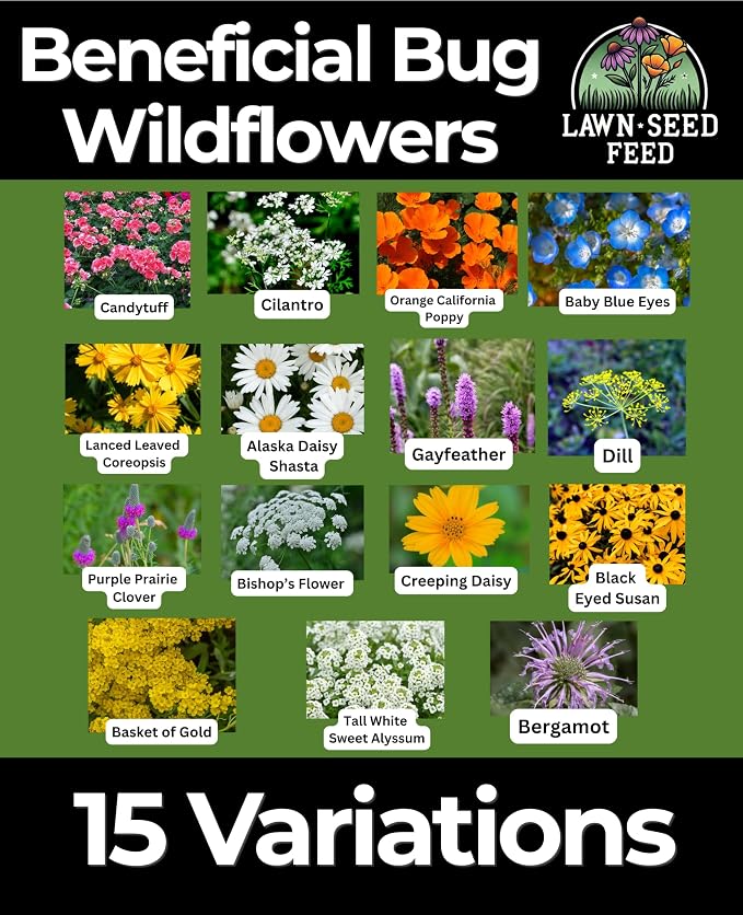 Beneficial Bug Wildflower Seeds (2oz) – Pollinator-Friendly Garden Mix