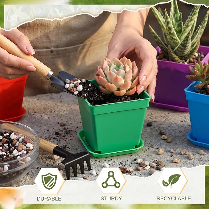 Amyhill 100 Pcs 4 Inch Flower Pots Square Plants Nursery Pot Plastic Plant Seedling Pots Small Nursery Transplanting Planter Container with Saucer for Indoor Succulent Balcony Garden (Colorful)