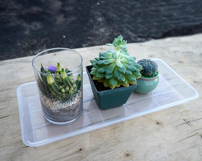 VUWEZ 2 Pack Plastic Plant Saucer, Rectangular, Indoors Outdoor, Water Drip Tray for Flower Pot, Windowsill (5.5 x 10 Inch, Clear)