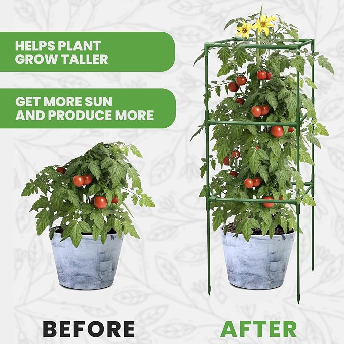 Tomato Cage Square - Large Trellis Stakes and Plant Support Structures for Vegetables and Climbing Plants - Tall Tomato Cages for Garden, Pots, Raised Garden Bed Outdoor Supplies (6 Pack - Up to 41")