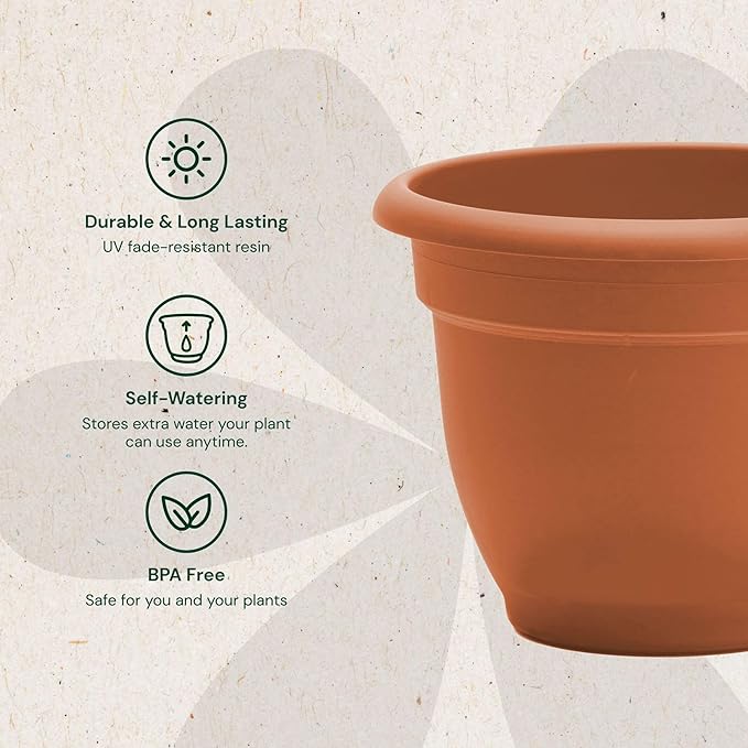 Bloem Ariana 10" Self-Watering Plastic Planter - Rolled Rim Indoor/Outdoor Garden Pot, Terra Cotta, 2-Pack