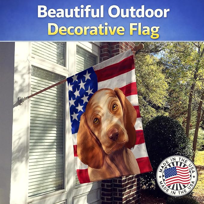 Caroline's Treasures CK6456CHF Bracco Italiano Dog American Flag House Flag Large Porch Sleeve Pole Decorative Outside Yard Banner Artwork Wall Hanging, Polyester, House Size, Multicolor