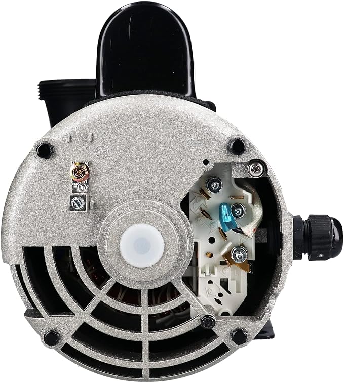 Hot Tub Spa Pump, 3HP, 2-speed: 3450 RPM high/1725 RPM low, 56 Frame, LX Motor Water Pump, 220-240V/60Hz input, Insulation Class F, Protection IPX5, Pool Pump (56WUA300-II)