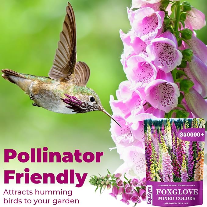 350,000+ Common Foxglove Seeds for Planting - Digitalis Purpurea Seeds, Tall Ornamental Flower Seeds for Outdoor Cottage and Pollinator Gardens