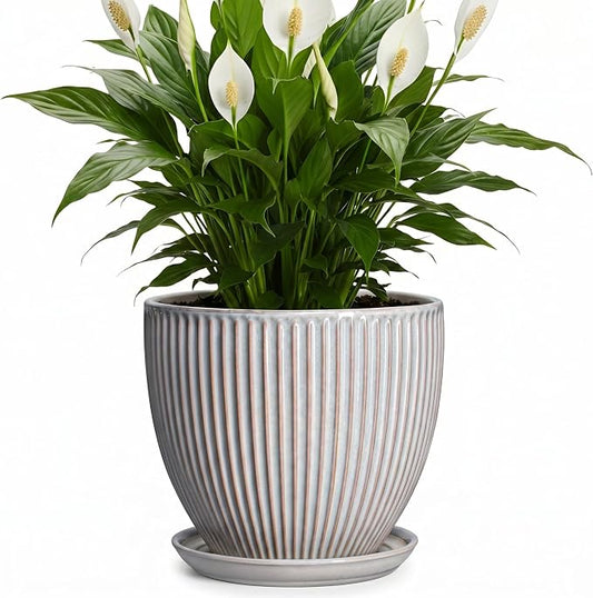 Ceramic Planters for Plants, 8 Inch Flower Pot with Drainage Hole and Saucer, Round Plant Pots for Indoor Plants, Modern Decorative Planter, Home Garden Decor, Gifts for Plant Lovers, Grey