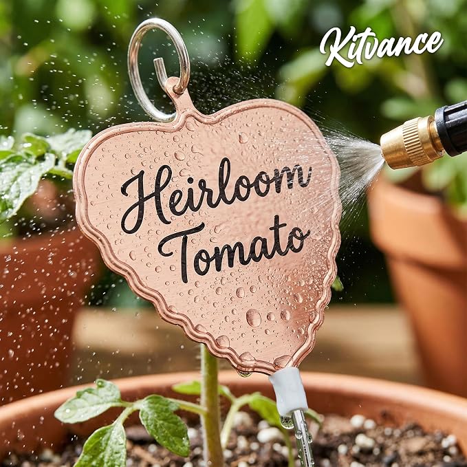 304 Stainless Steel Plant Labels, 25-Pack Weatherproof Metal Garden Markers with 11" Tall Stakes, Reusable Plant Tags for Herbs Vegetables Flowers, Large Writing Area, Easy-Read Angled Design