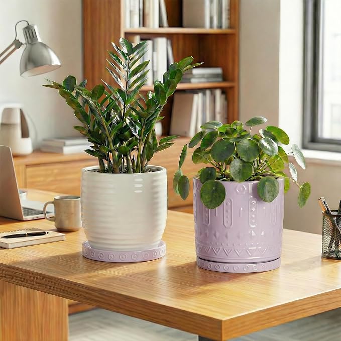 Eightpot 2 Pack Plant Trays for Pots, 7.5 Inch Plant Plates to Catch Water for Indoor Outdoor, Round Plants Water Catcher Tray, Boho Flower Pot Saucer, Decorative Plants Dishes to Catch Water, Purple