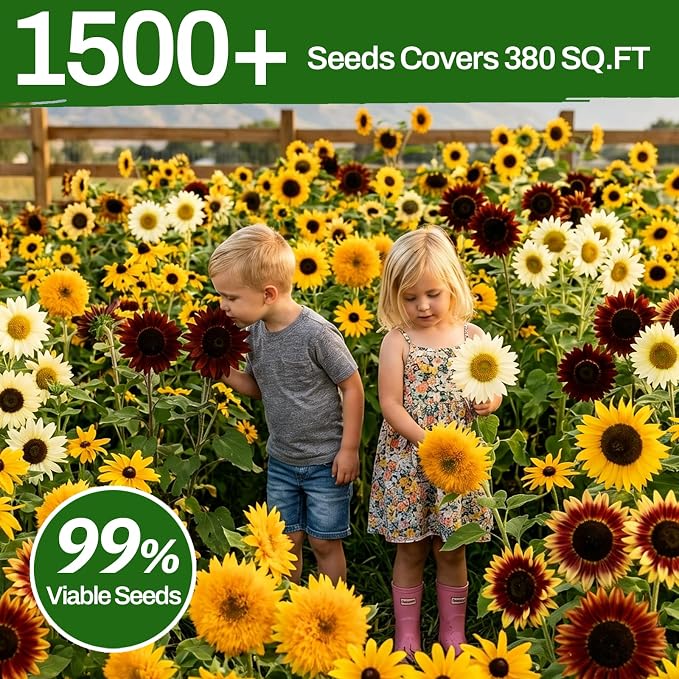 LUOJIBIE Sunflower Seeds 5 Varieties Mixed, 1500+ Sunflower Seeds for Planting 2026, High Germination Non-GMO, Wildflower Seeds for Planting Indoor Outdoor, Open Pollinated