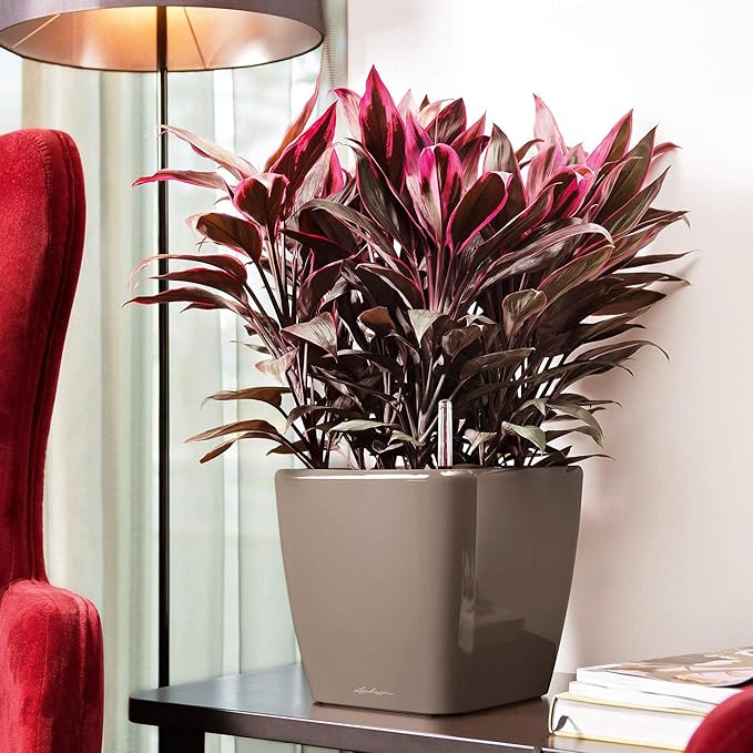 Lechuza Quadro LS 28 Scarlet Red High Gloss, Self-Watering Square Planter, H10.2 L11 W11 in