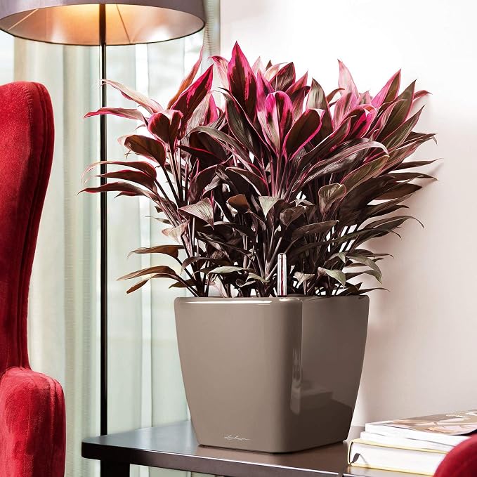 Lechuza Quadro LS 28 Shiny Taupe High Gloss, Self-Watering Square Planter, H10.2 L11 W11 in