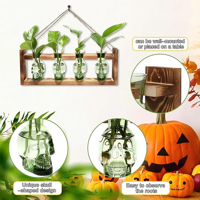 Plant Propagation Stations Halloween Skull Plant Terrarium Kit | Glass Vases Gift for Father Air Planter Home Office Decor
