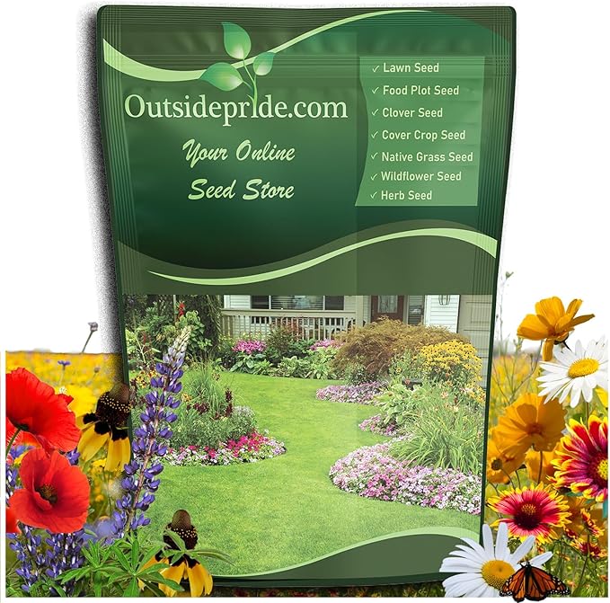 Outsidepride Southeast Wildflower Seed Mix - 1/4 lb Highly Adaptable, Easy to Grow, Low-Maintenance Mix of Annual & Perennial Wildflower Seeds for Natural Landscapes in Southeastern States