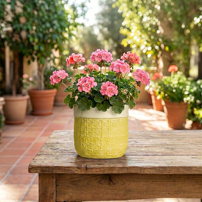 Ceramic Planter - 6 Inch Plant Pot with Drainage Hole and Plug, Round Unique Flower Pots for Indoor Plants, Boho Decorative Pot for Plants, Bookshelf Decor, Gifts for Plant Lovers, Yellow