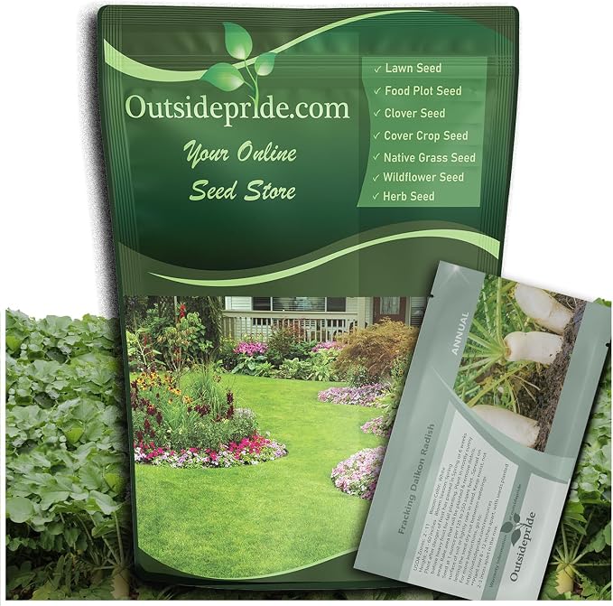 Outsidepride Annual Daikon Radish Seeds - 1 oz. Chinese, Japanese, & Oriental Radish Seeds for Soil Health, Erosion Control, & Soil Aeration - Ideal for Gardens, Cover Crops, Pastures, & Food Plots