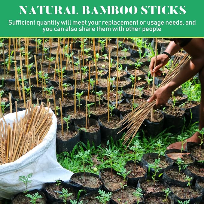 Suclain 100 Pcs Bamboo Plant Stakes Natural Garden Support Sticks for Climbing Plants Sturdy Bamboo Garden Stakes for Tomato, Beans, Flowers and Potted Plants, Vegetables, Indoor & Outdoor (3 ft)