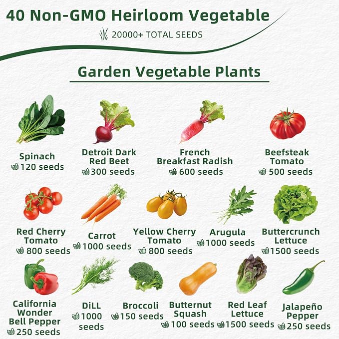 40 Vegetable Seeds Variety Pack, 20,000+ Garden Seed Vault Kit with Mini Planting Tools, Easy to Grow for Hydroponic, Indoor & Outdoor Year-Round Home Gardening